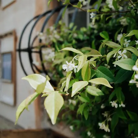 Hotel Particulier Des Jasmins